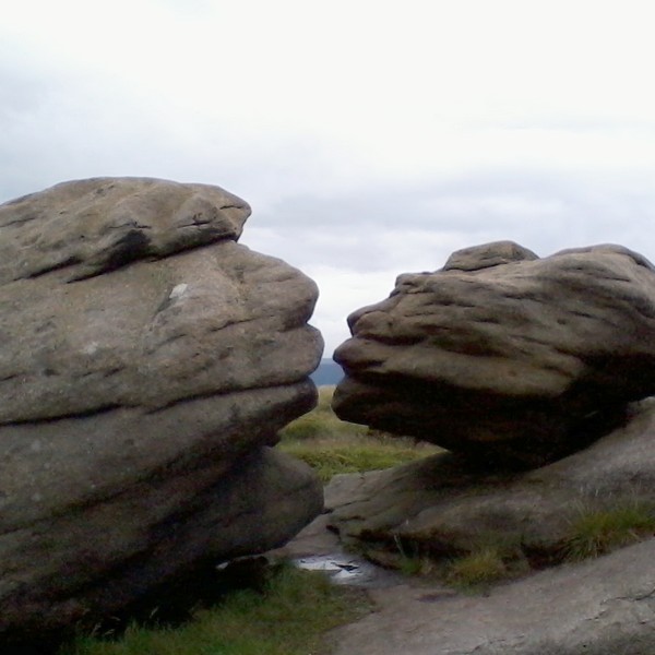 The Wain Stones