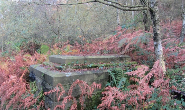 Stone structure in Bee Wood