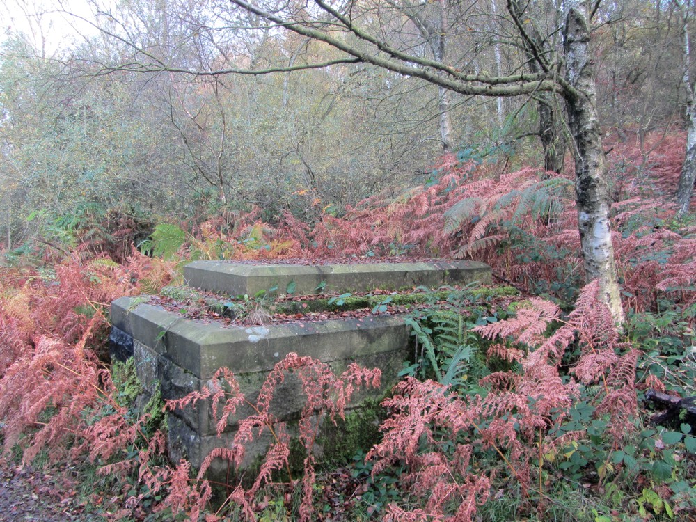 Stone structure in Bee Wood