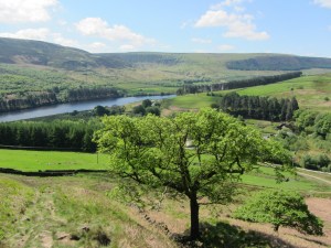 View of Torside Reservoir from the path to Black Hill