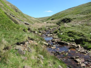 Crowden Little Brook, Black Hill