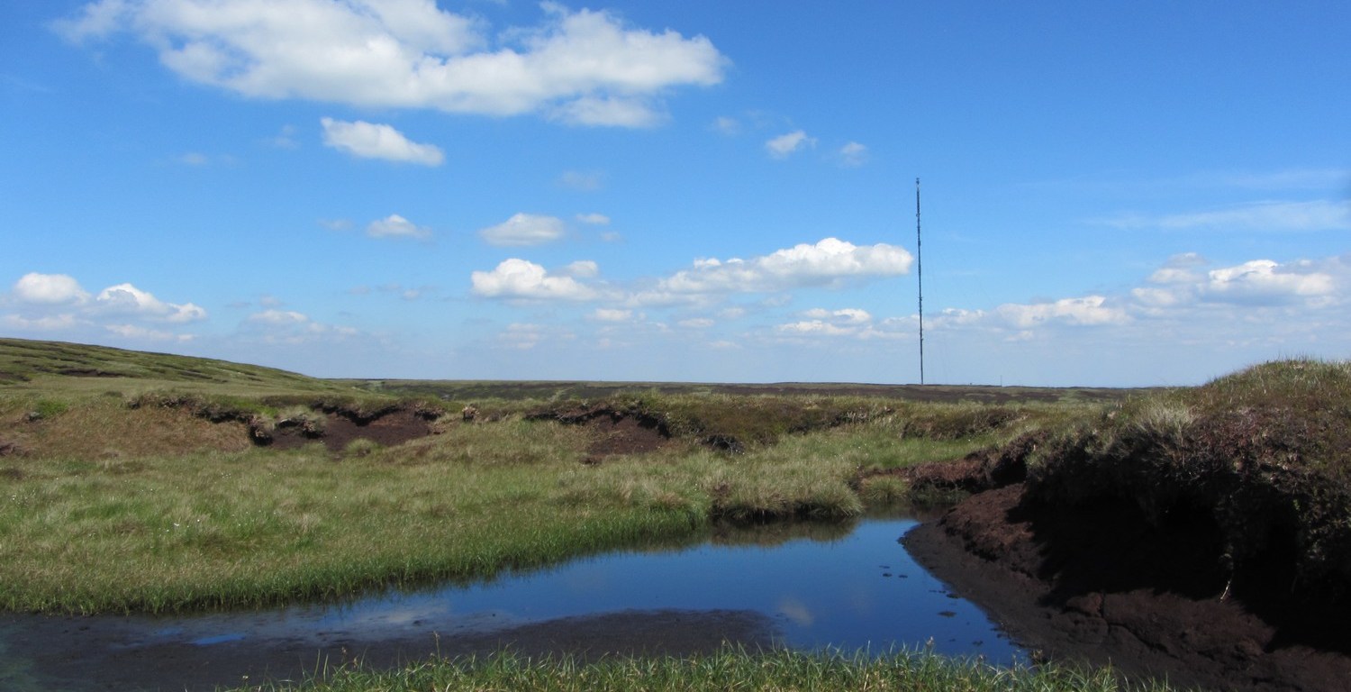 Holme Moss transmitter from Tooleyshaw Moss