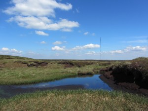 Holme Moss transmitter from Tooleyshaw Moss