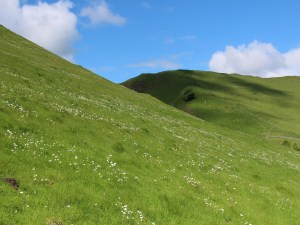 Hillside near Winnats Pass
